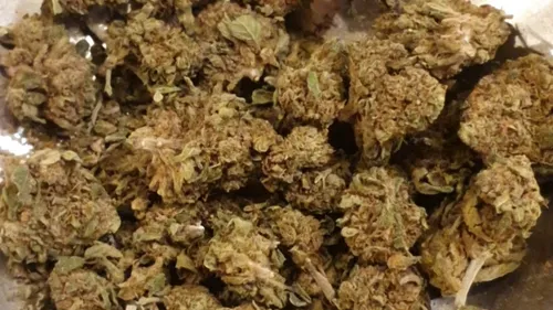 En vidéo : les boutiques de CBD au bord de la fermeture